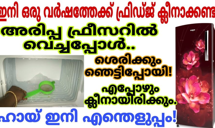 പുതു പുത്തൻ ആയിരിക്കും നമ്മുടെ ഫ്രിഡ്ജ് ഇങ്ങനെ ചെയ്താൽ.