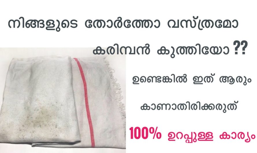 വസ്ത്രങ്ങളിലെ എത്ര കടുത്ത കരിമ്പൻ നിമിഷം നേരം കൊണ്ട് പരിഹരിക്കാം.