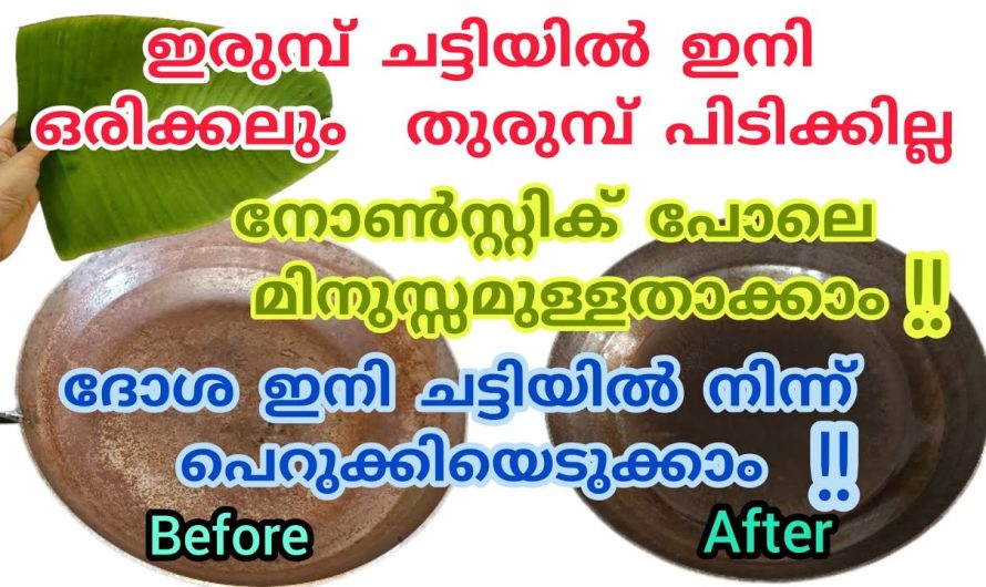 ഇരുമ്പ് ചീനച്ചട്ടി നോൺസ്റ്റിക് പാത്രമാക്കി മാറ്റാം.