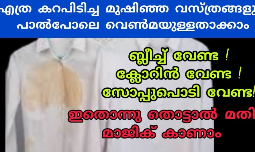 വസ്ത്രങ്ങളിലെ മഷി കരയും അതുപോലെ തന്നെ കറയും എളുപ്പത്തിൽ നീക്കം ചെയ്യാൻ.