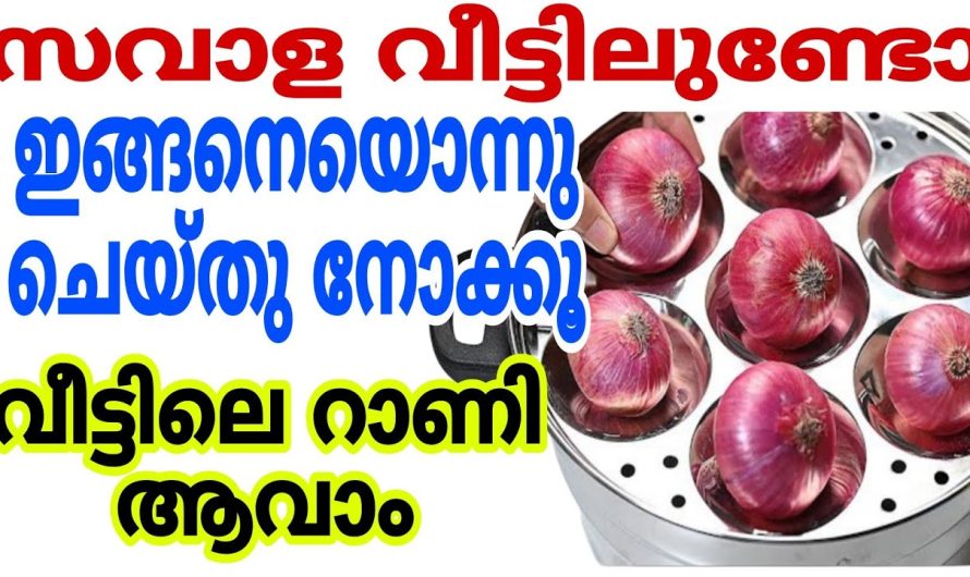 ഈയൊരു കറി ഉണ്ടെങ്കിൽ പ്ലേറ്റ് നിമിഷം നേരം കൊണ്ട് കാലിയാകും.