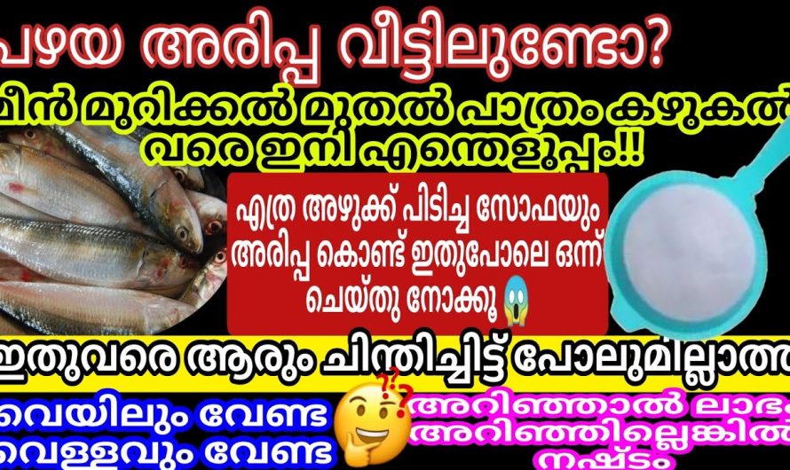 വീട്ടിലെ ഏതൊരു ജോലിയും വളരെ എളുപ്പത്തിൽ ചെയ്യാൻ ഇതൊരെണ്ണം മാത്രം മതി.