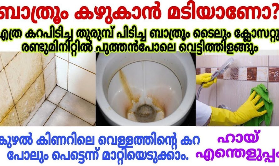 മിനിറ്റുകൾക്കകം ബാത്റൂമിലെയും ക്ലോസറ്റിലെയും ഏത് കറയും നീങ്ങി കിട്ടാൻ ഇതു മതി.