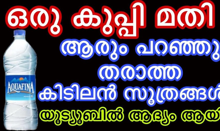 കുപ്പി കൊണ്ട് ചെയ്യാവുന്ന ഇത്തരം ഞെട്ടിക്കുന്ന ട്രിക്കുകൾ ആരും കാണാതിരിക്കല്ലേ.