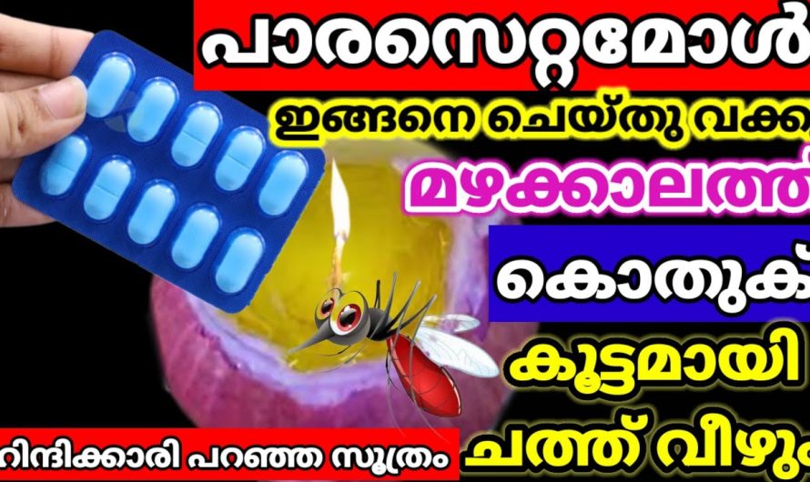 മഴക്കാലത്ത് ഈ ഒരു സൂത്രം ചെയ്താൽ മതി കൊതുകിനെ അപ്പാടെ തുരത്താം.