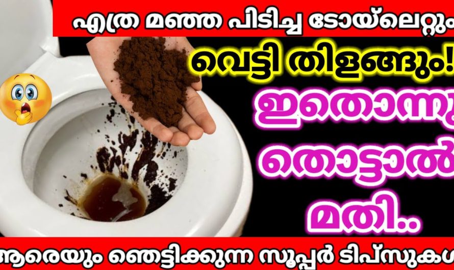 ദിവസവും ഉപയോഗിക്കുന്ന ഈയൊരു പൊടി ഇട്ടുകൊടുത്താൽ മതി ടോയ്‌ലറ്റും ബാത്റൂമും വെട്ടി തിളങ്ങും.