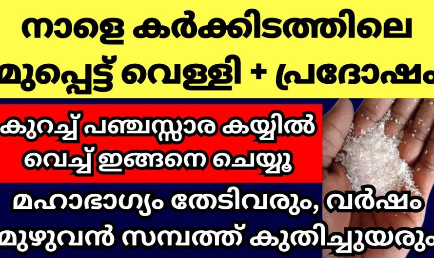 കർക്കിടകത്തിലെ മുപ്പെട്ട് വെള്ളിയിൽ ഈയൊരു കാര്യം ചെയ്യൂ മഹാഭാഗ്യമായിരിക്കും ഫലം.