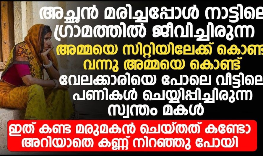 അച്ഛൻ മരിച്ചതിനാൽ മകളുടെ വീട്ടിലേക്ക് കൊണ്ടുവന്ന അമ്മയോട് മകൾ ചെയ്തത് കണ്ടോ.