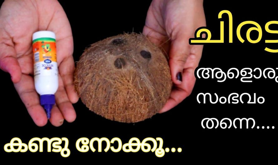 ചിരട്ടയുടെ മുകളിൽ അല്പം പശ തേച്ചു കൊടുക്കൂ അപ്പോൾ കാണാം ഞെട്ടിക്കുന്ന മാജിക്.