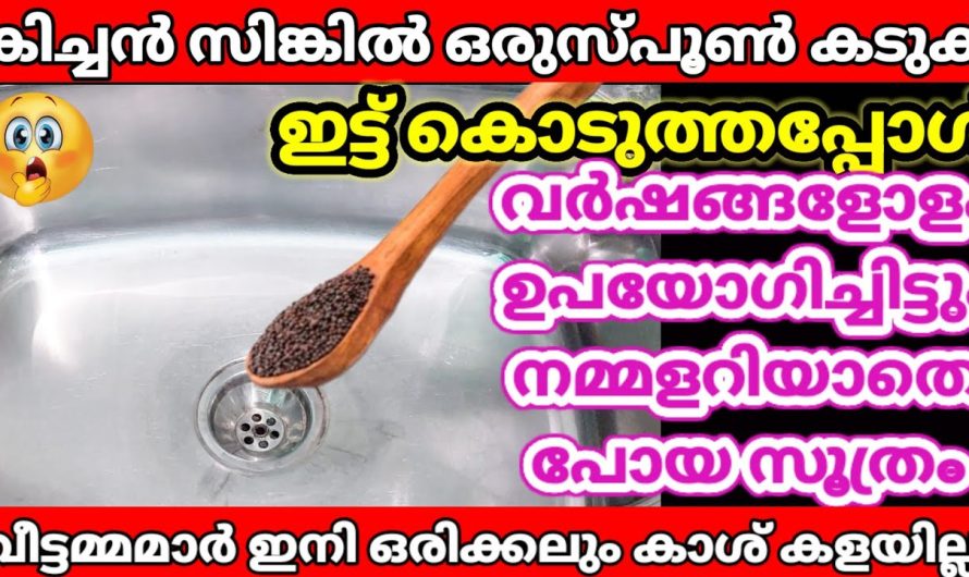 കിച്ചൻ സിങ്കിൽ ബ്ലോക്കുണ്ടോ ? എങ്കിൽ ഇതൊരു പിടി ഇട്ടു കൊടുക്കു അപ്പോൾ കാണാം ഞെട്ടിക്കുന്ന മാജിക്.