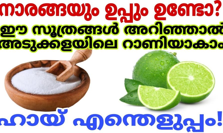 വീട്ടമ്മമാർക്ക് അറിയാത്ത ഇത്തരം കിച്ചൻ ടിപ്സുകൾ കാണാതിരിക്കല്ലേ.