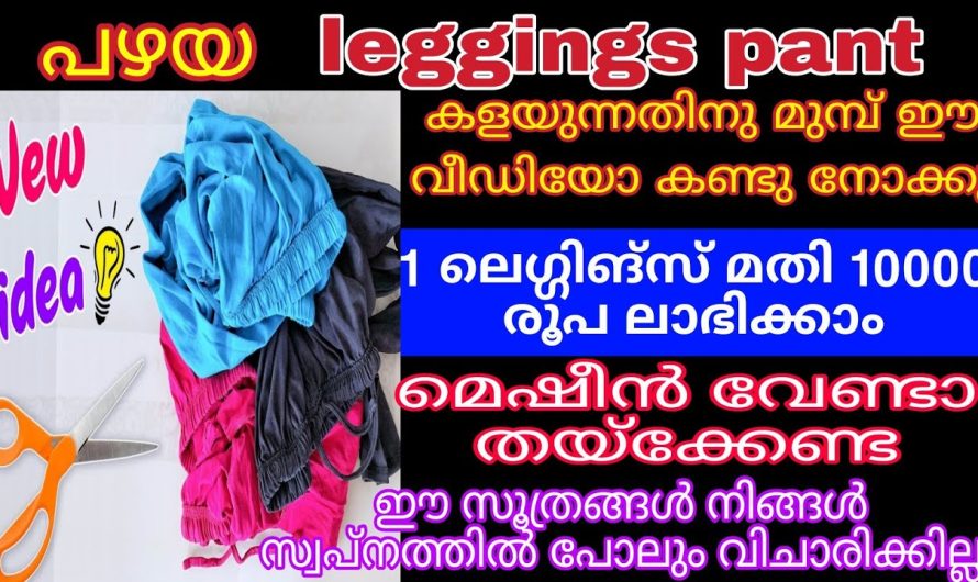 ലഗിൻസ് കൊണ്ട് ചെയ്യാവുന്ന സൂത്രവിദ്യകൾ ആരും കാണാതിരിക്കല്ലേ.