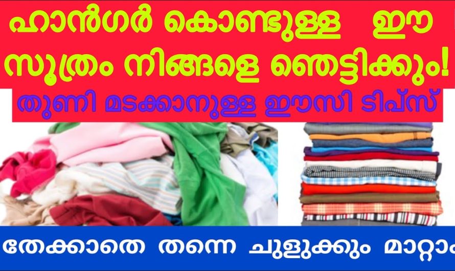 അലമാരയിൽ വസ്ത്രങ്ങൾ എപ്പോഴും ഒതുങ്ങിയിരിക്കും    ഈയൊരു കാര്യം ചെയ്താൽ …