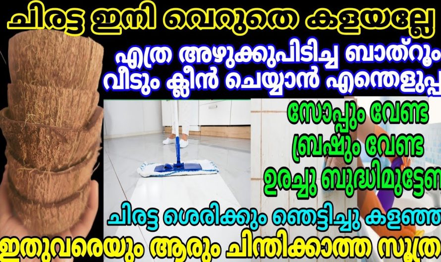 ചിരട്ടയുടെ ആരും അറിയാത്ത ഞെട്ടിക്കും ഗുണങ്ങൾ..