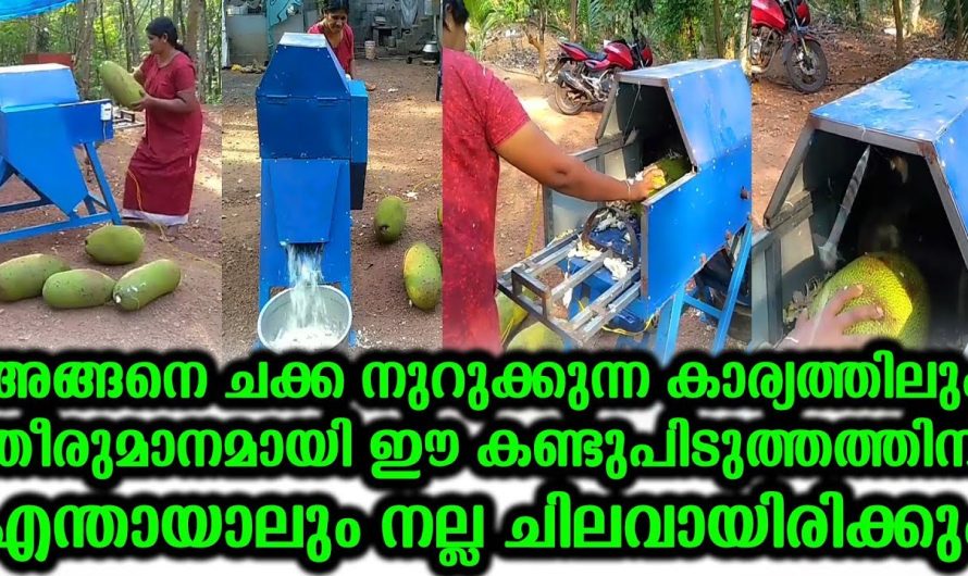 വീട്ടമ്മയുടെ കണ്ടുപിടുത്തം ആരെയും ഞെട്ടിക്കും…