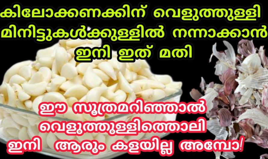 വെളുത്തുള്ളി വളരെ എളുപ്പത്തിൽ തന്നെ തൊലി കളയുന്നതിനും സംഭരിച്ചു വെക്കാനും കിടിലൻ വഴി…