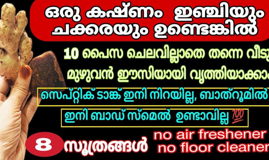 വീട്ടിൽ ഇഞ്ചി ഉണ്ടോ എങ്കിൽ ഈ ഒരു കാര്യം പരീക്ഷിച്ചു നോക്കൂ ഞെട്ടിക്കും റിസൾട്ട്…