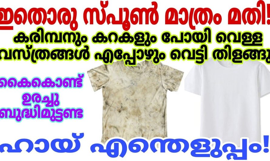 വെളുത്ത വസ്ത്രങ്ങളിലെ കരിമ്പന, ചെളി,കറ എന്നിവ നീക്കം ചെയ്യാൻ ഇതൊന്നു ചെയ്തു നോക്കൂ..