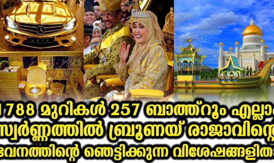 ഈ കൊട്ടാരത്തിന് കൊട്ടാരം എന്ന പേര് പോലും കുറവായി തോന്നും…