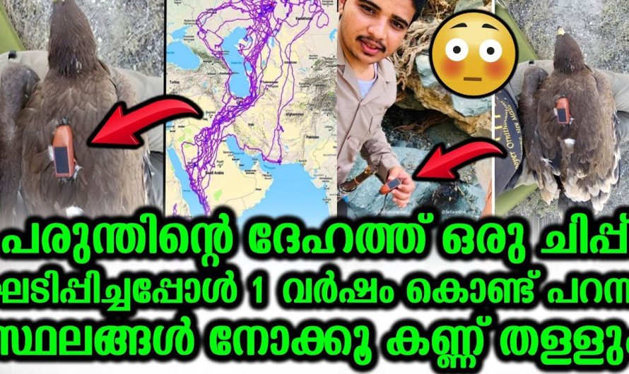 ഈ കണ്ടുപിടുത്തം ആരെയും ഒന്ന് ഞെട്ടിക്കും…