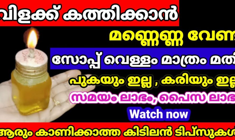 ഒട്ടും ചിലവില്ലാത്ത കാര്യങ്ങൾ ചെയ്തു നോക്കൂ അമ്പരപ്പിക്കും റിസൾട്ട്..