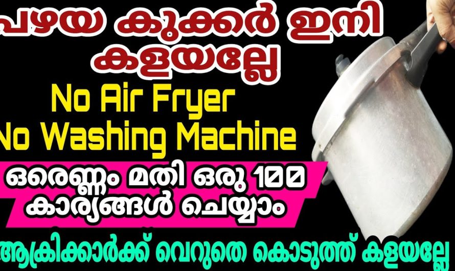 വീട്ടിലെ പഴയ കുക്കർ ഇനി ഉപേക്ഷിക്കരുത് ഇതൊന്ന് ചെയ്തു നോക്കൂ ഞെട്ടിക്കും ഗുണം..