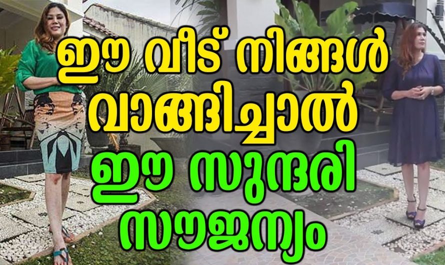 ഈ പരസ്യം കണ്ടവർ ഒന്ന് അമ്പരന്നു പോകും..