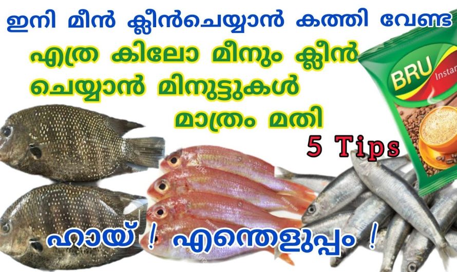 ഏതുതരം ഈ മീൻ ആയാലും വളരെ എളുപ്പത്തിൽ ക്ലീൻ ചെയ്യാൻ ഇതാ കിടിലൻ മാർഗം…