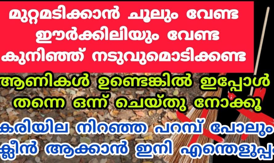 മുറ്റമടിക്കാൻ ഇനി ഒട്ടും പ്രയാസമില്ലാതെ ഇതാ  കിടിലൻ മാർഗ്ഗം  …