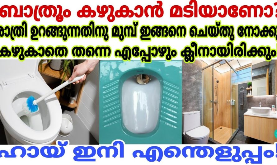 വീട്ടിലെ ഗ്യാസ് സ്റ്റൗ അതുപോലെ   ബാത്റൂമുകളും   എളുപ്പത്തിൽ ക്ലീൻ ചെയ്യാൻ….