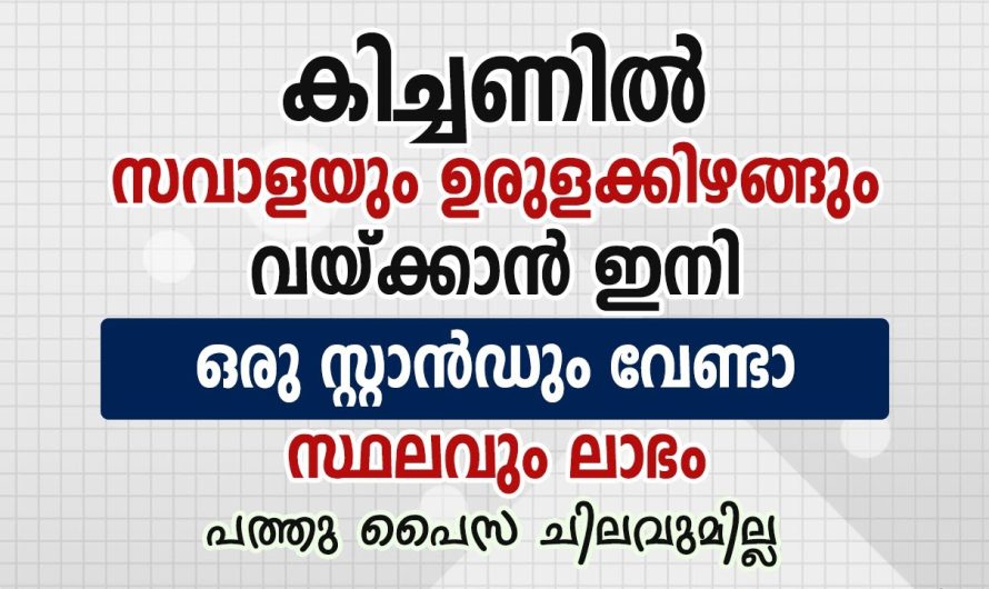 സവാളയും പച്ചക്കറികളും ഈ രീതിയിൽ സ്റ്റോർ ചെയ്തു നോക്കൂ….