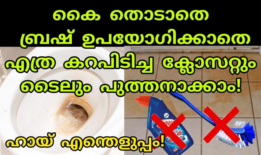 ഒട്ടും ബുദ്ധിമുട്ടില്ലാതെ ബാത്റൂം  എളുപ്പത്തിൽ ക്ലീൻ ചെയ്യാം..