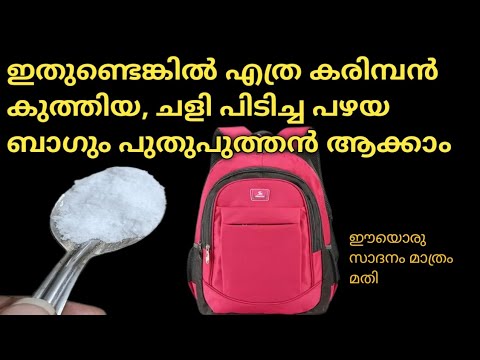 എത്ര ചെളിയും  കരിമ്പൻ കുത്തിയും ആയ ബാഗുകൾ എളുപ്പത്തിൽ ക്ലീൻ ചെയ്ത് എടുക്കാൻ..