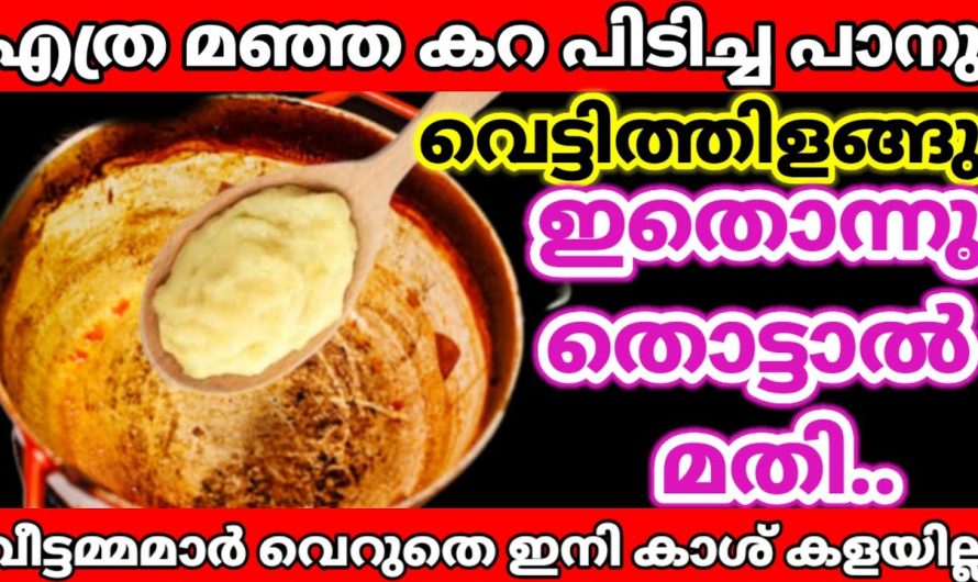 എത്ര മഞ്ഞ കറയും ചായ കറയും  ചായയും പാത്രങ്ങളിൽ നിന്ന് എളുപ്പത്തിൽ നീക്കം ചെയ്യാം.