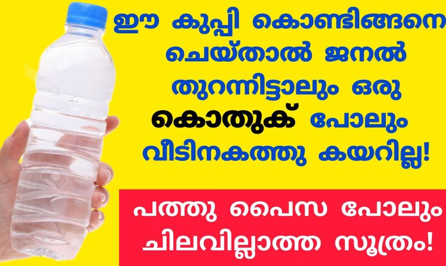 ഈ ഇല വീട്ടിലുണ്ടെങ്കിൽ കൊതുകള്‍ അടുക്കില്ല .