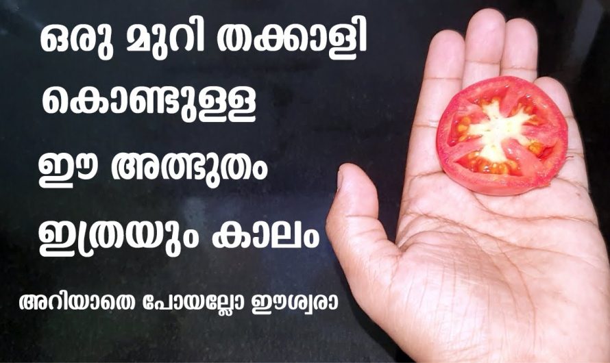 തക്കാളി ഉപയോഗിച്ച് ഇങ്ങനെയൊന്ന് ചെയ്തു നോക്കൂ ഞെട്ടിക്കും റിസൾട്ട്…