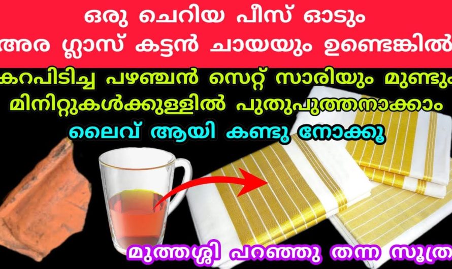 എത്ര പഴക്കം ചെന്നതും ഏതുതരം സാരി ആയാലും   പുത്തൻ പുതിയത് ആക്കാം കിടിലൻ വഴി..