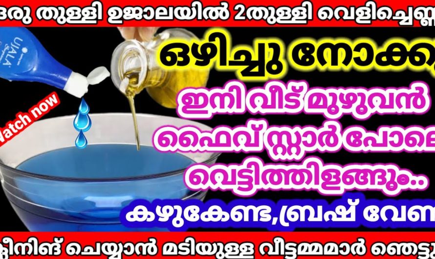 ആരെയും ആകർഷിക്കുന്ന രീതിയിൽ വീട് മനോഹരമാക്കാൻ കിടിലൻ വഴി…