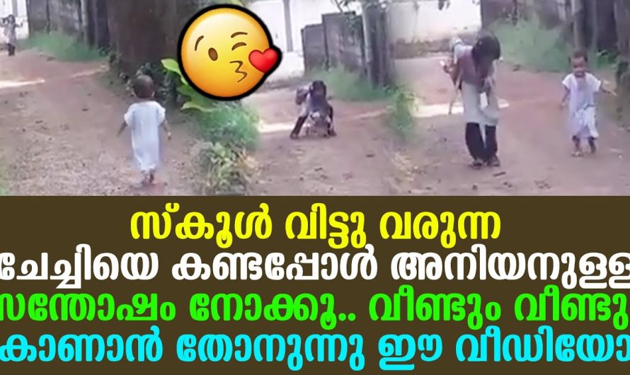 സ്കൂൾ വിട്ട് ചേച്ചി വരുന്നത് കണ്ടപ്പോൾ ഈ കുഞ്ഞനിയൻ ചെയ്തതു കണ്ടോ…