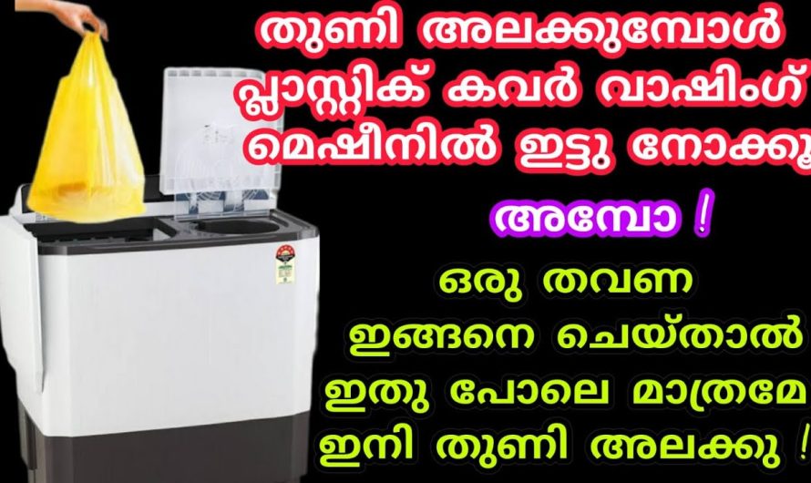 വീട്ടിൽ പാഴാക്കി കളയുന്ന പ്ലാസ്റ്റിക് കവർ ഇതുപോലൊന്ന് ചെയ്തു നോക്കൂ ഞെട്ടിക്കും റിസൾട്ട്…