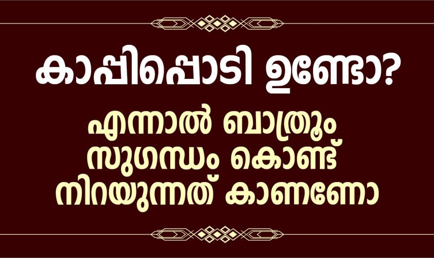 ബാത്റൂമിലെ ദുർഗന്ധം ഇല്ലാതാക്കാൻ