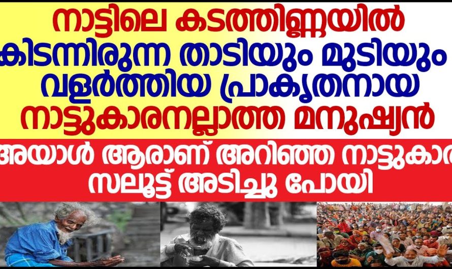 കടത്തിണ്ണയിലും മരിച്ചു കിടക്കുന്ന പ്രാകൃതനായ മനുഷ്യൻ ആരെന്നറിഞ്ഞപ്പോൾ  എല്ലാവരും ഞെട്ടി..