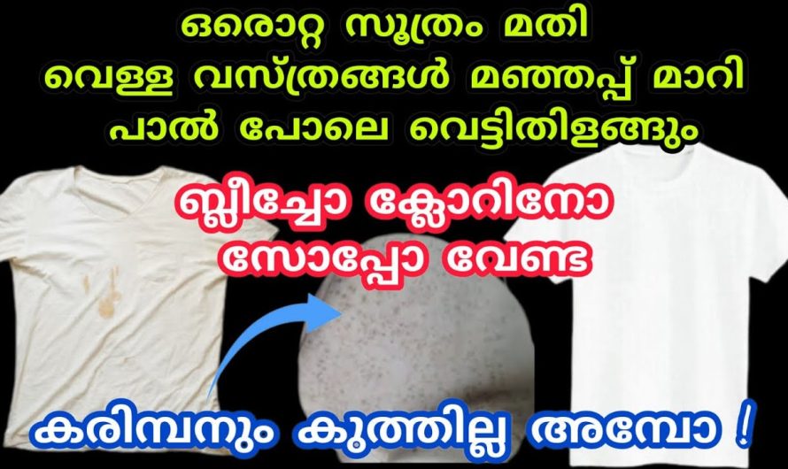 എത്ര ചെളിയും കറയുമുള്ള തുണിയായാലും വളരെ എളുപ്പത്തിൽ ക്ലീൻ ചെയ്ത് എടുക്കാം…