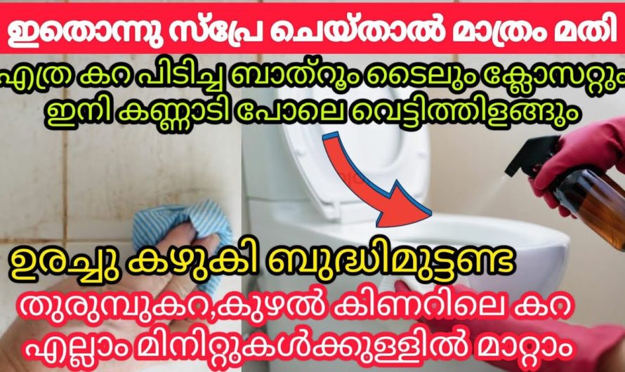 എത്രയും പഴയ ബാത്റൂം ടൈലുകളും ക്ലോസറ്റും പുത്തൻ പുതിയതുപോലെ തിളങ്ങാൻ..