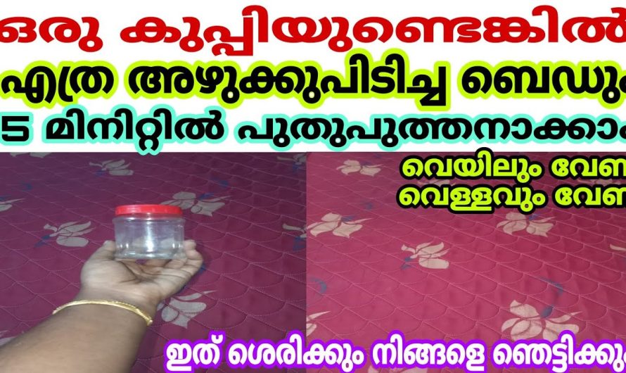 നമ്മുടെ വീട്ടിൽ എത്ര പഴയ ബെഡും എളുപ്പത്തിൽ ക്ലീൻ ചെയ്ത് എടുക്കാൻ കിടിലൻ വഴി..