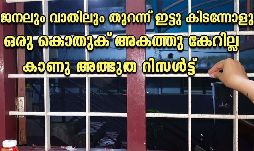 ഇനി ഒരൊറ്റ കൊതുക് പോലും അകത്തു കടക്കില്ല ഇതാ കിടിലൻ മാർഗ്ഗം…