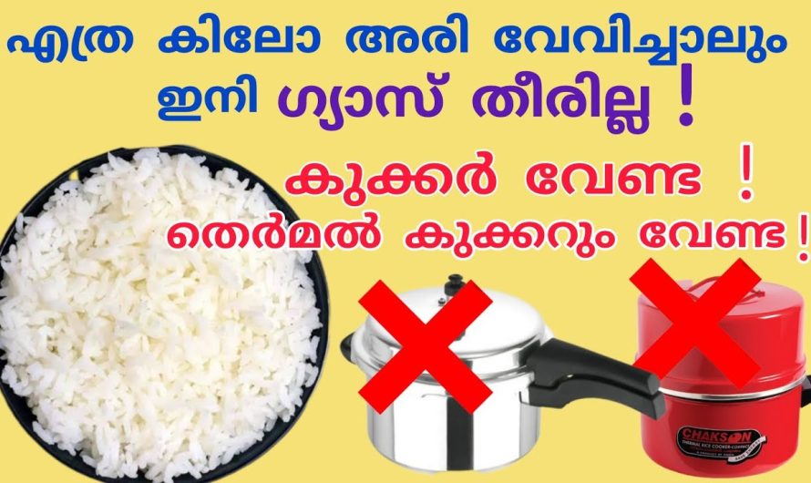 കിച്ചനിൽ ഗ്യാസ് എങ്ങനെ പാഴാക്കാതെ പ്രയോജനപ്പെടുത്താം കിടിലൻ വഴി..