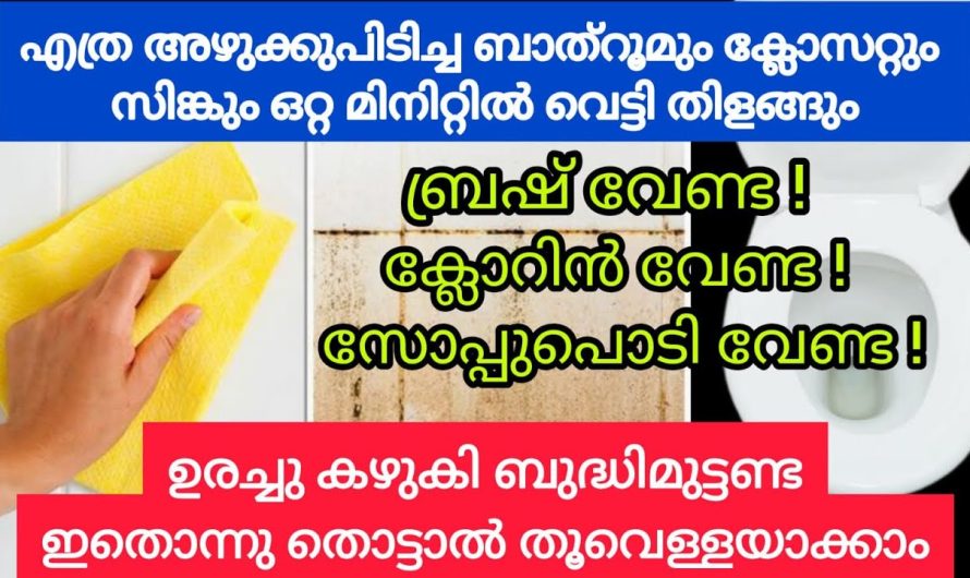 ബാത്റൂമിലെ ടൈലും ക്ലോസറ്റും അഴുക്ക് നീക്കി വെട്ടി തിളങ്ങൾ