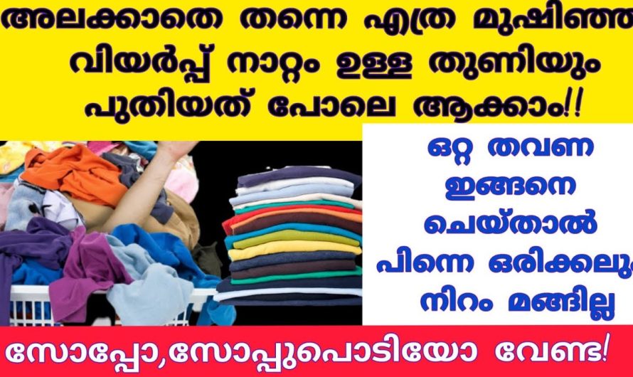 ഇത്തരം കാര്യങ്ങൾ ശ്രദ്ധിച്ചാൽ നമുക്ക് ഒത്തിരി പ്രശ്നങ്ങൾക്ക് നല്ല പരിഹാരം…