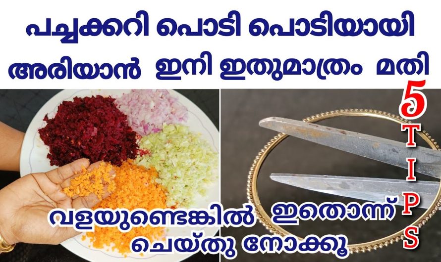 കണ്ണടച്ചും തുറക്കും വേഗത്തിൽ  പച്ചക്കറികൾ അരിഞ്ഞെടുക്കാൻ…